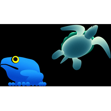 The Frog and the Turtle