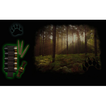 'If you go down to the woods today...'