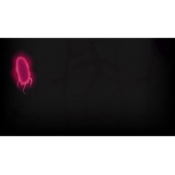 Boostichia (Profile Background)