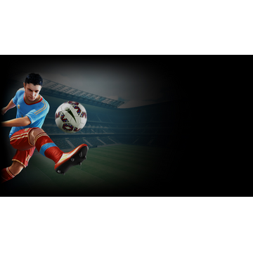 Final Goalie background 4