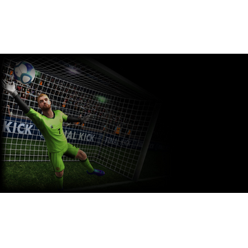 Final Goalie background 2