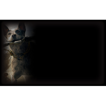 Boomer (Profile Background)