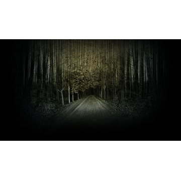 Surrounding The House Abandon