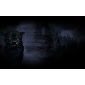 Wolf (Profile Background)