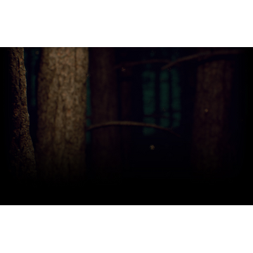 Creepy forest