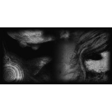 Reader (Profile Background)