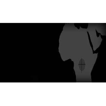 Kongo The Night of The Hawk