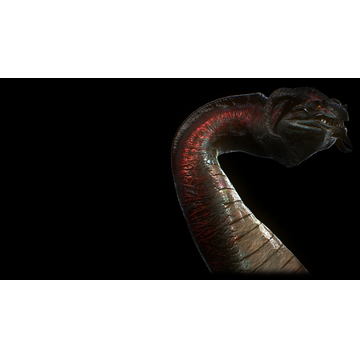 Water Dragon (Profile Background)