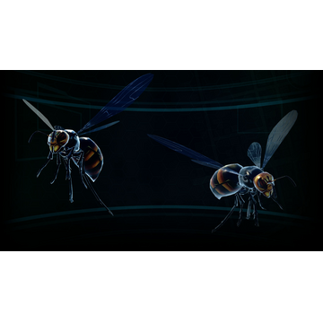 Giant flying insects