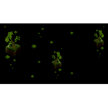 Bonsai Tree (Profile Background)