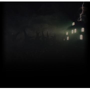 Welcome To The Mansion