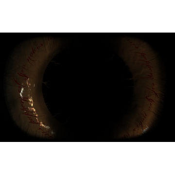 Throne of Kings and Beggars