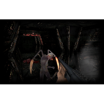 Monster (Profile Background)