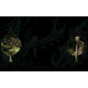 Forest (Profile Background)