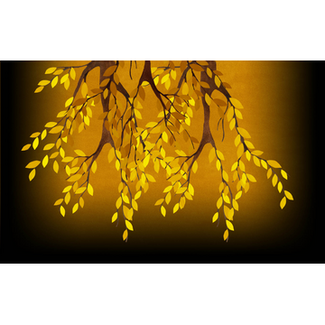 Forest (Profile Background)