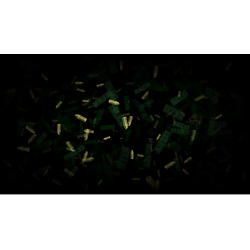 Vendor Chronicles BG Ammo