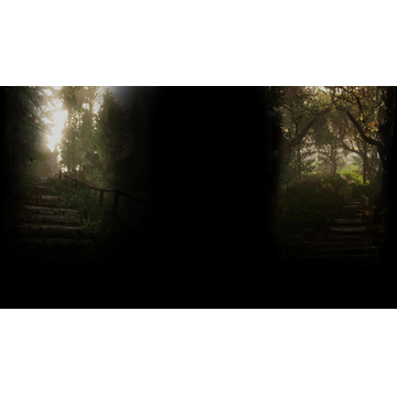 The path in the woods