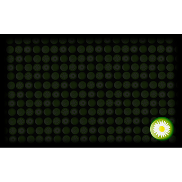 Season Of Spring (Profile Background)