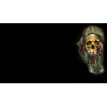 13th Skull (Profile Background)