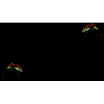 Reptile (Profile Background)