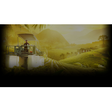 YOUR FARM IN COLOMBIA