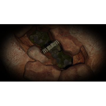 Canyon (Profile Background)