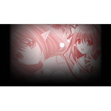 Lisianthus (Profile Background)