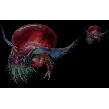 Heart of the Emberstone: Wizgog