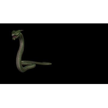 Snake (Profile Background)