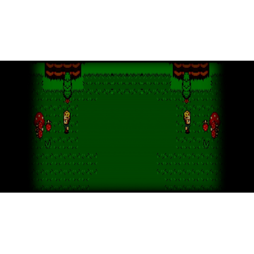 Mushrooms are Everywhere!