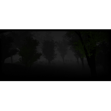 Dark Forest