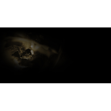 I'm Titanium - Background 3