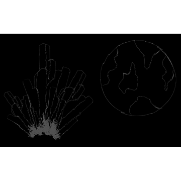 Our Dreams against the World