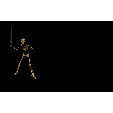 Skeleton (Profile Background)