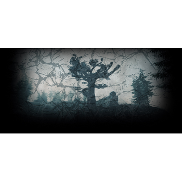 Hill (Profile Background)