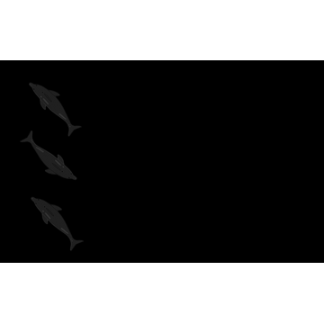 Dolphin (Profile Background)
