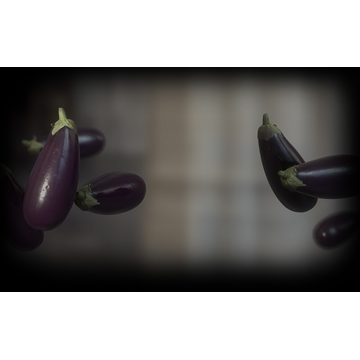 Eggplanting the Seed (Profile Background)