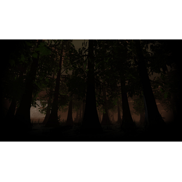 Channelwood at Night