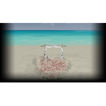 Ceremony (Profile Background)