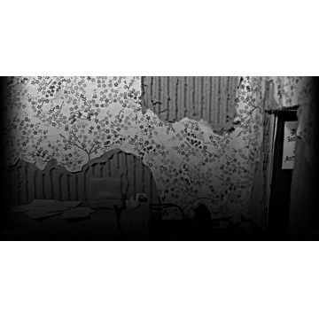 Dominique Pamplemousse's Office