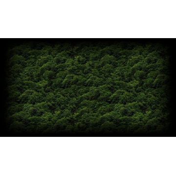 Trees (Profile Background)