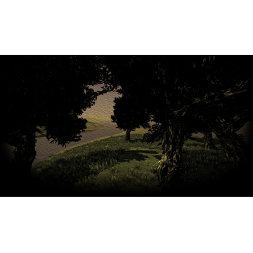 Forest By The Sea (Profile Background)