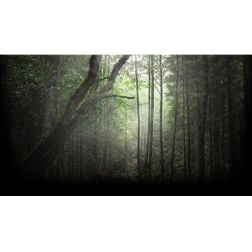 Spintires Background #6