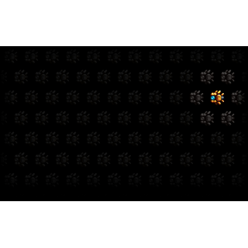 Aqua Kitty - Goldenfish