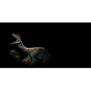 Dilophosaurus and Novaraptor