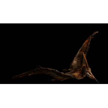 Pteranodon