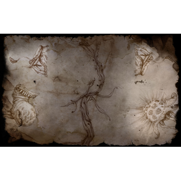 Audiophil Flora And Fauna