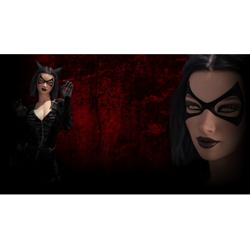 Cat noir (Profile Background)