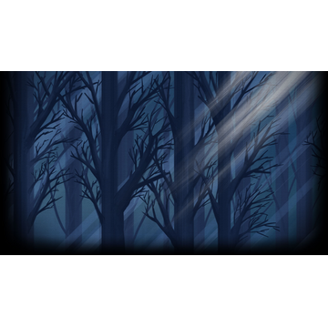 Nocturne forest