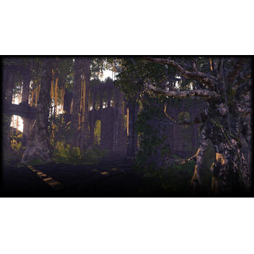 Oren (Profile Background)